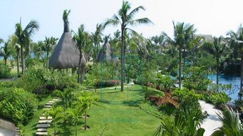 別墅花園景觀(guān)設(shè)計(jì)施工與園林綠化工程全流程解析